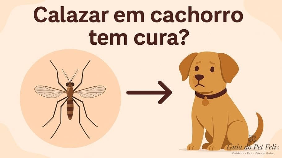 Calazar em Cachorro Tem Cura Saiba Tudo Sobre a Leishmaniose Canina
