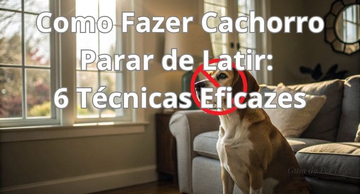 Como Fazer Cachorro Parar de Latir 6 Técnicas Eficazes