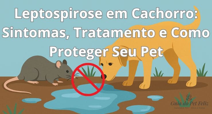Leptospirose em Cachorro: Sintomas, Tratamento e Como Proteger Seu Pet