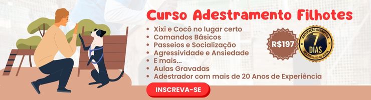 Curso Adestramento Filhotes